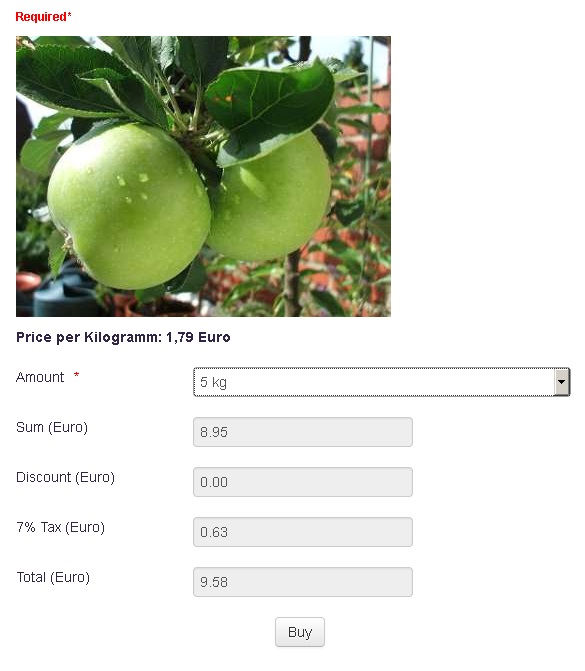 Ansicht des Formulars