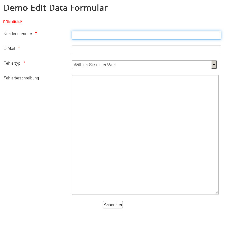 Formularansicht Formularansicht