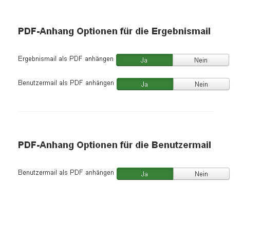 PDF Anhang Optionen